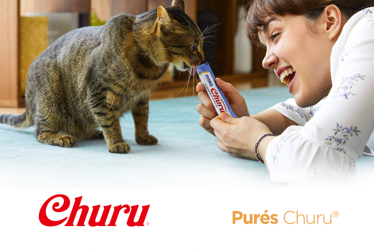níquel en caso Menstruación Conoce los beneficios de usar los snacks Churu para gatos - Covegan